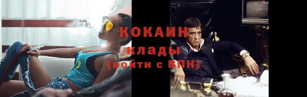 шишки Кулебаки