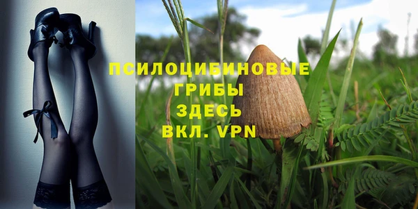 бутират Кукмор